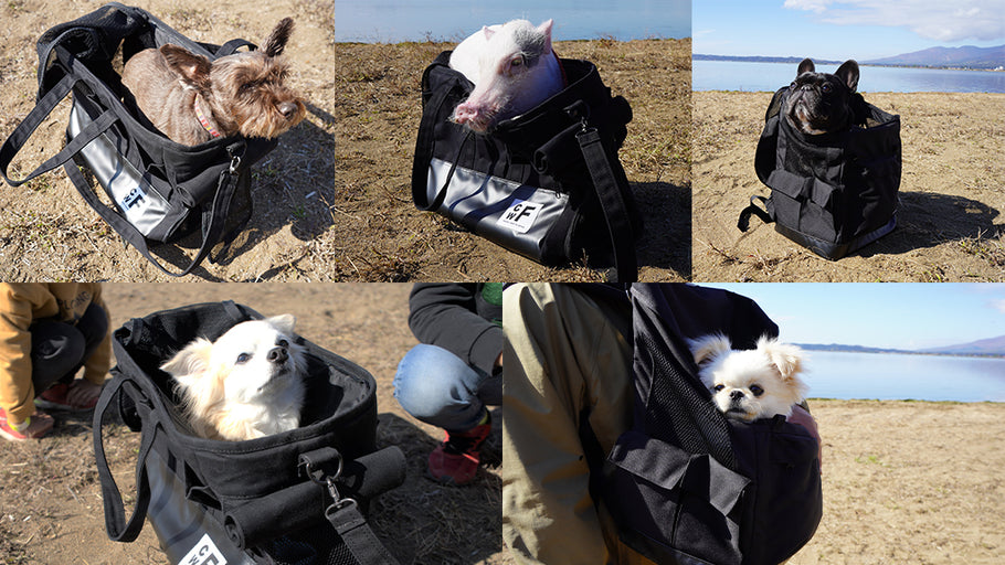 You can go out with your dog or pig with just this one. A bag that brings you closer to your beloved family!